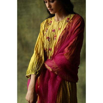 Begum Pret Mustard and Olive Zeenat Kurta (Set of 3)