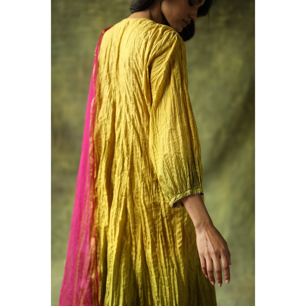 Begum Pret Mustard and Olive Zeenat Kurta (Set of 3)