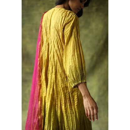 Begum Pret Mustard and Olive Zeenat Kurta (Set of 3)