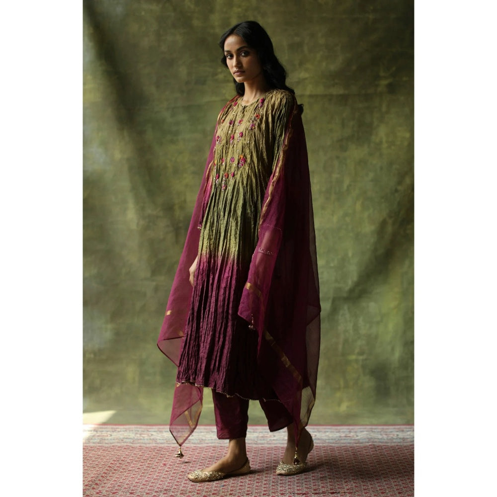 Begum Pret Wine and Olive Zeenat Kurta (Set of 3)