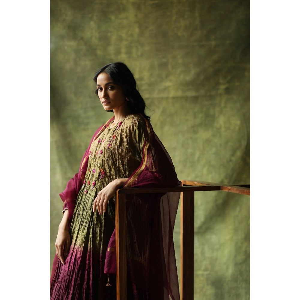 Begum Pret Wine and Olive Zeenat Kurta (Set of 3)