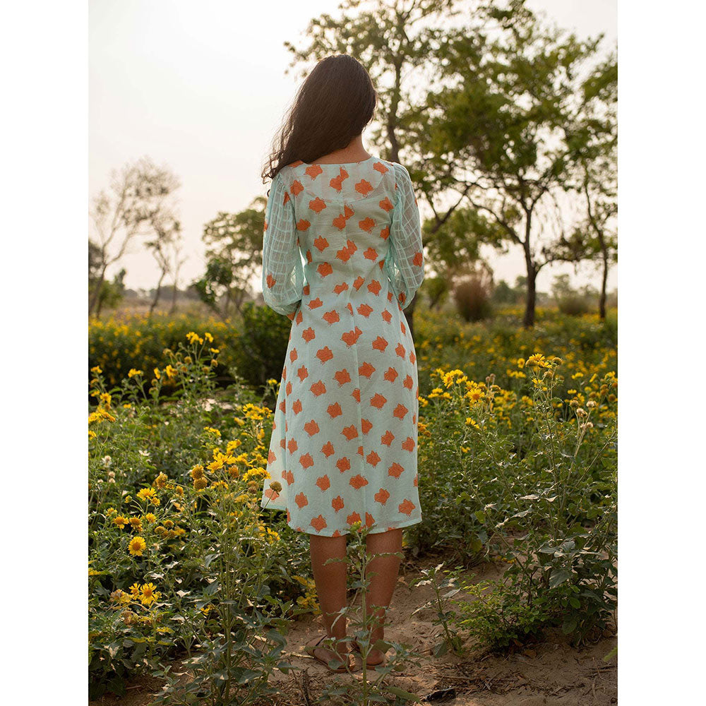 Baise Gaba Blue Falconet Dress With Inner