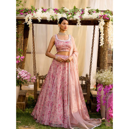 Chhavvi Aggarwal Pink Lehenga Set (Set of 4)