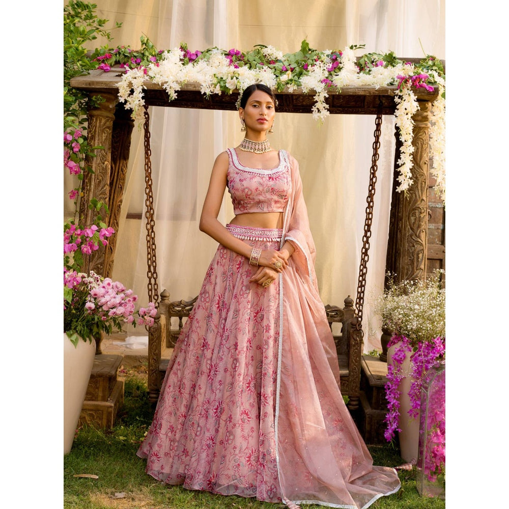 Chhavvi Aggarwal Pink Lehenga Set (Set of 4)