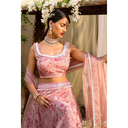 Chhavvi Aggarwal Pink Lehenga Set (Set of 4)