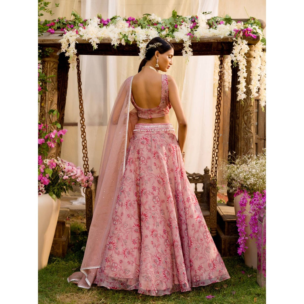 Chhavvi Aggarwal Pink Lehenga Set (Set of 4)
