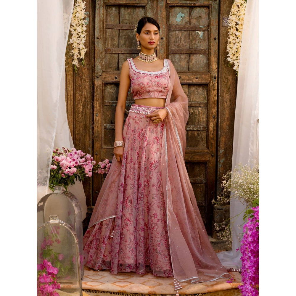 Chhavvi Aggarwal Pink Lehenga Set (Set of 4)