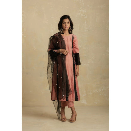 Charkhee Dusky Pink Panelled Kurta With Pant & Organza Dupatta - (Set of 3)