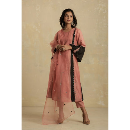 Charkhee Dusky Pink Panelled Kurta With Pant & Organza Dupatta - (Set of 3)