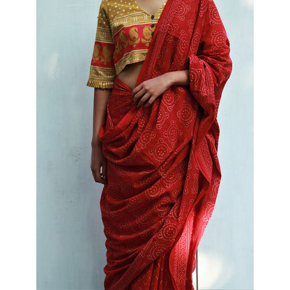 Chidiyaa Colossus Cotton Saree Fmtm with Unstitched Blouse