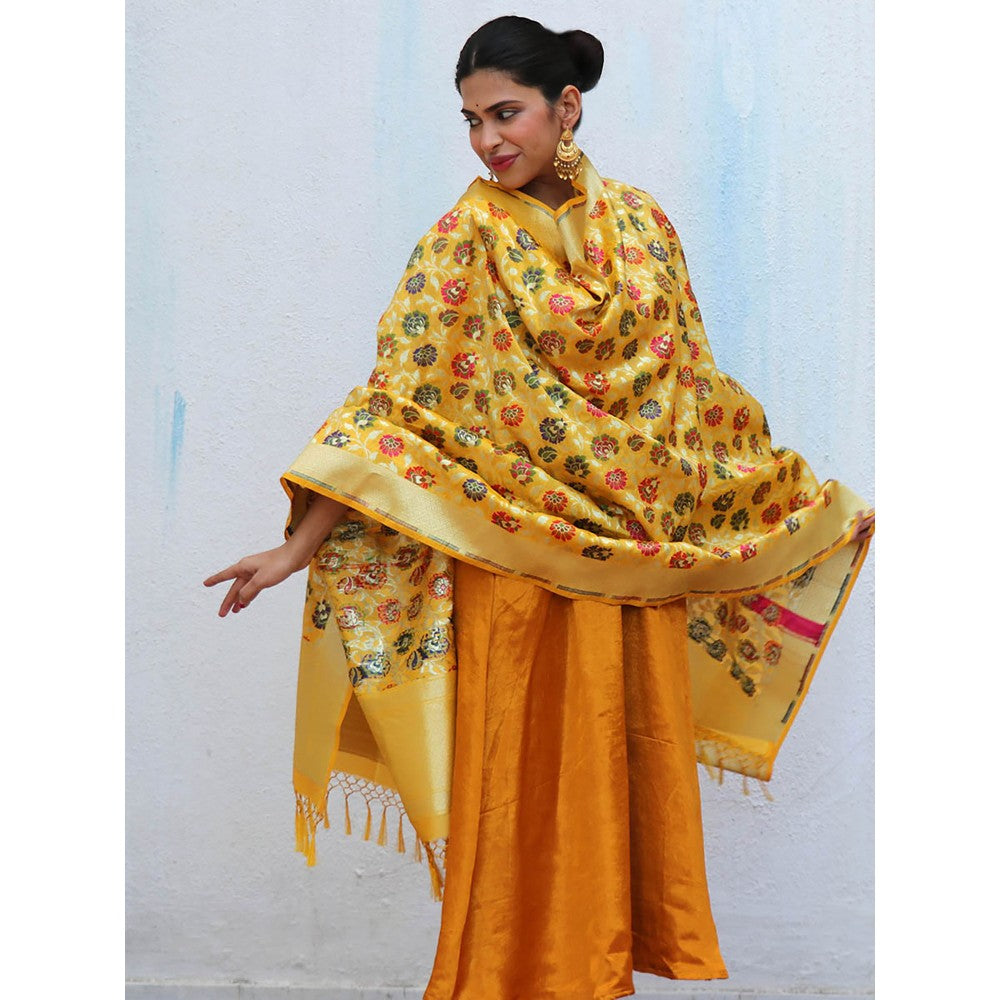 Chidiyaa Sufiyana Ibadat Handwoven Banarasi Kimkhab Brocade Dupatta