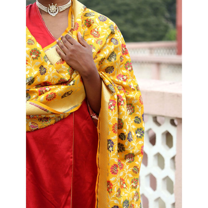 Chidiyaa Sufiyana Ibadat Handwoven Banarasi Kimkhab Brocade Dupatta