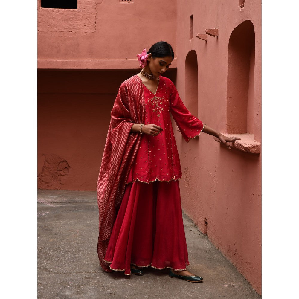 DEEPTHEE Vermillion Panelled Short Kurti (Set of 3)