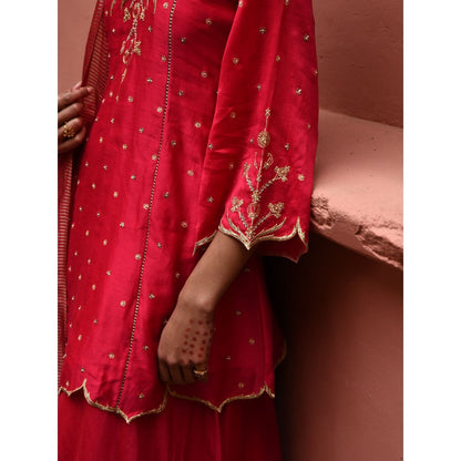 DEEPTHEE Vermillion Panelled Short Kurti (Set of 3)