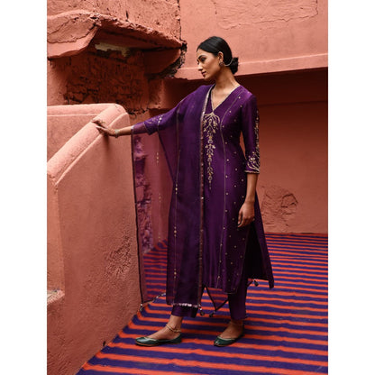 DEEPTHEE Aubergine Panelled Straight Kurta (Set of 3)