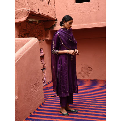 DEEPTHEE Aubergine Panelled Straight Kurta (Set of 3)