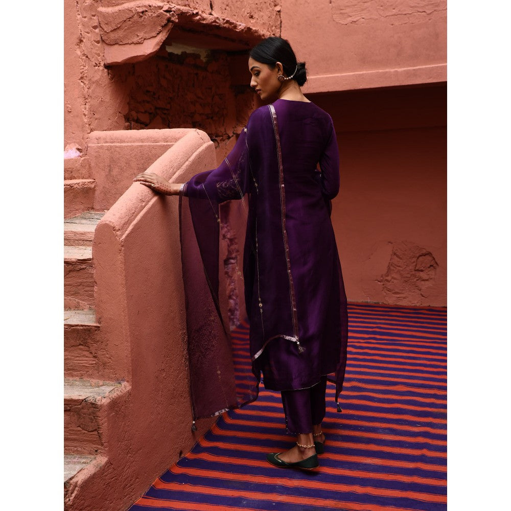 DEEPTHEE Aubergine Panelled Straight Kurta (Set of 3)