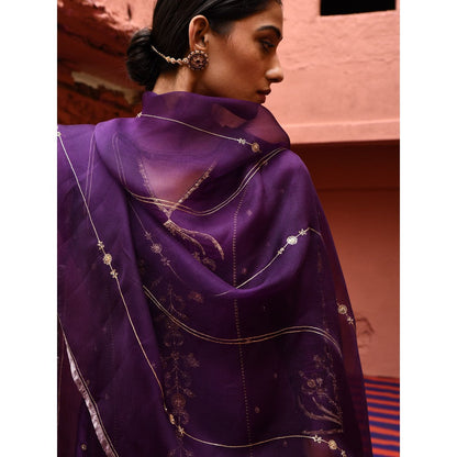 DEEPTHEE Aubergine Panelled Straight Kurta (Set of 3)