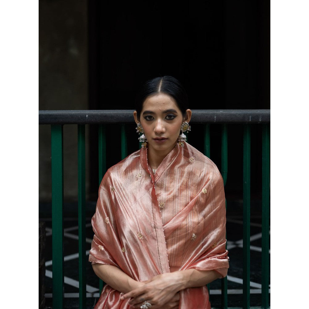 DEEPTHEE Blush Pink Hand Embroidered Tissue Silk Saree with Stitched Blouse