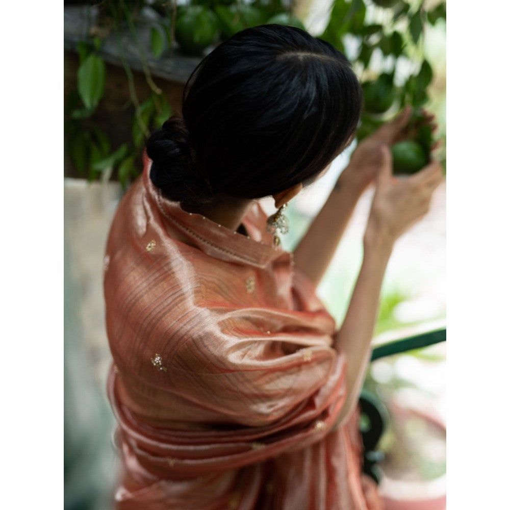 DEEPTHEE Blush Pink Hand Embroidered Tissue Silk Saree with Stitched Blouse