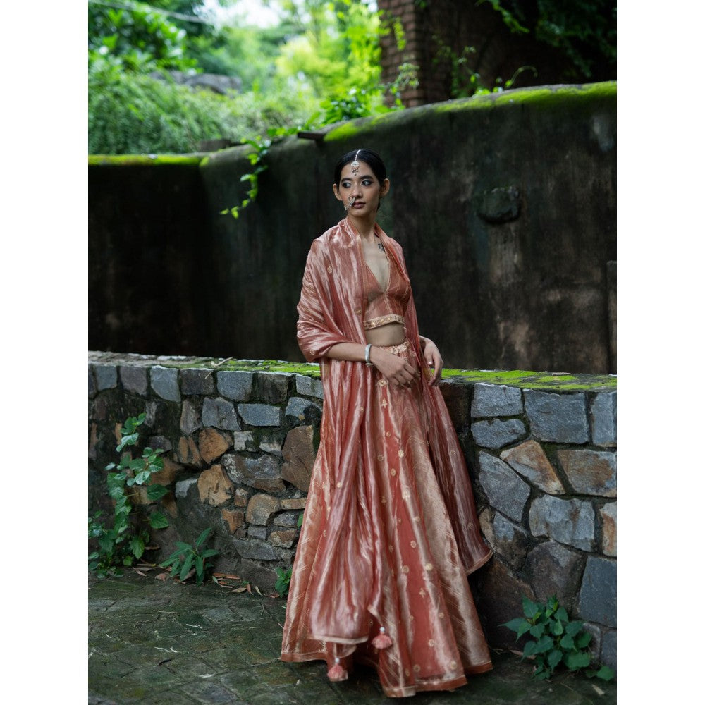 DEEPTHEE Blush Pink Hand Embroidered Kalli Lehenga with Blouse and Dupatta (Set of 3)