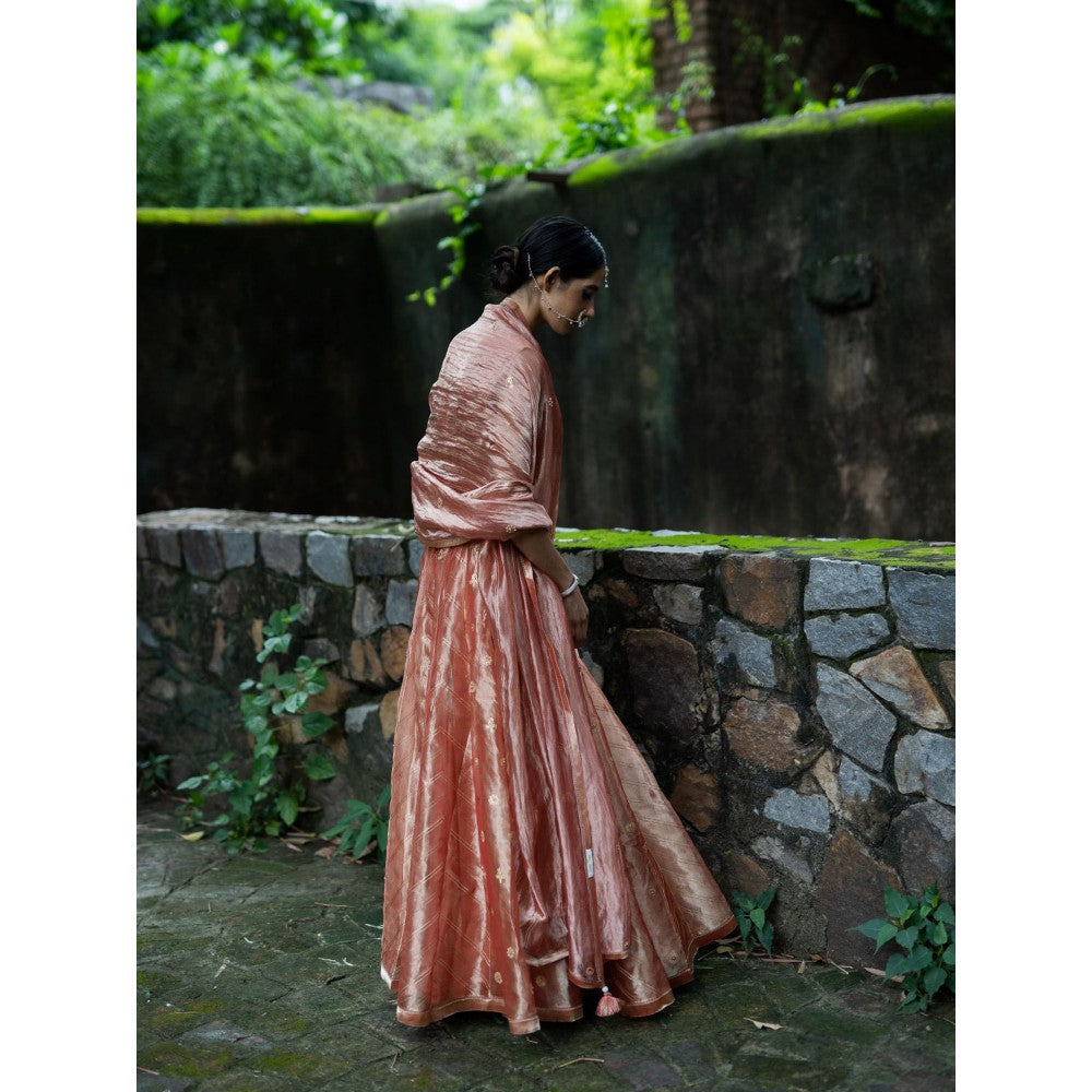 DEEPTHEE Blush Pink Hand Embroidered Kalli Lehenga with Blouse and Dupatta (Set of 3)