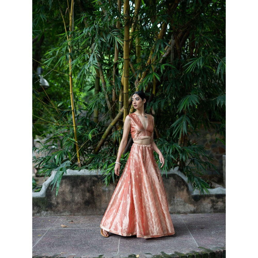 DEEPTHEE Blush Pink Hand Embroidered Kalli Lehenga with Blouse and Dupatta (Set of 3)