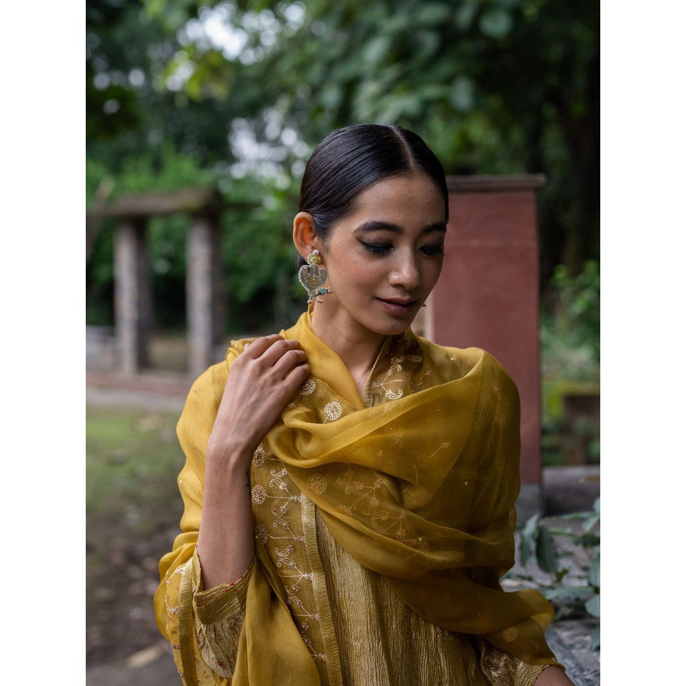 DEEPTHEE Molten Gold Yellow Tissue Silk Anarkali Kurta with Pant and Dupatta (Set of 3)