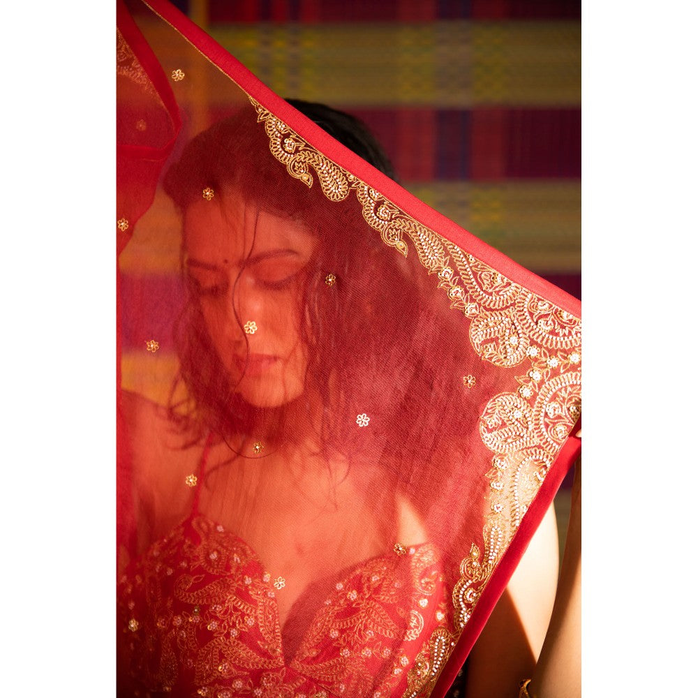 DEEPTHEE Sita Hand Embroidered Kali Lehenga with Blouse & Dupatta (Set of 3)