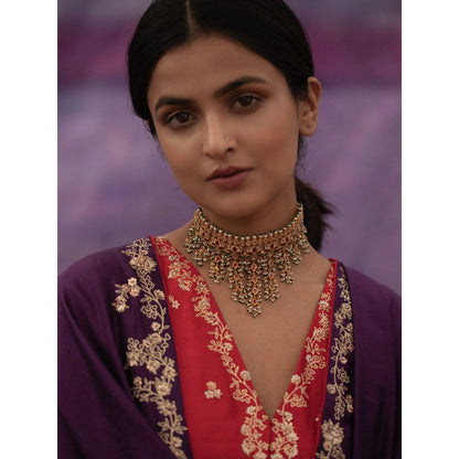 DEEPTHEE Purple Jaal Hand Embroidered Saree with Red Stitched Blouse