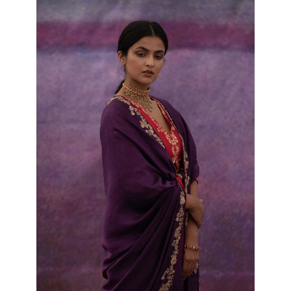 DEEPTHEE Purple Jaal Hand Embroidered Saree with Red Stitched Blouse