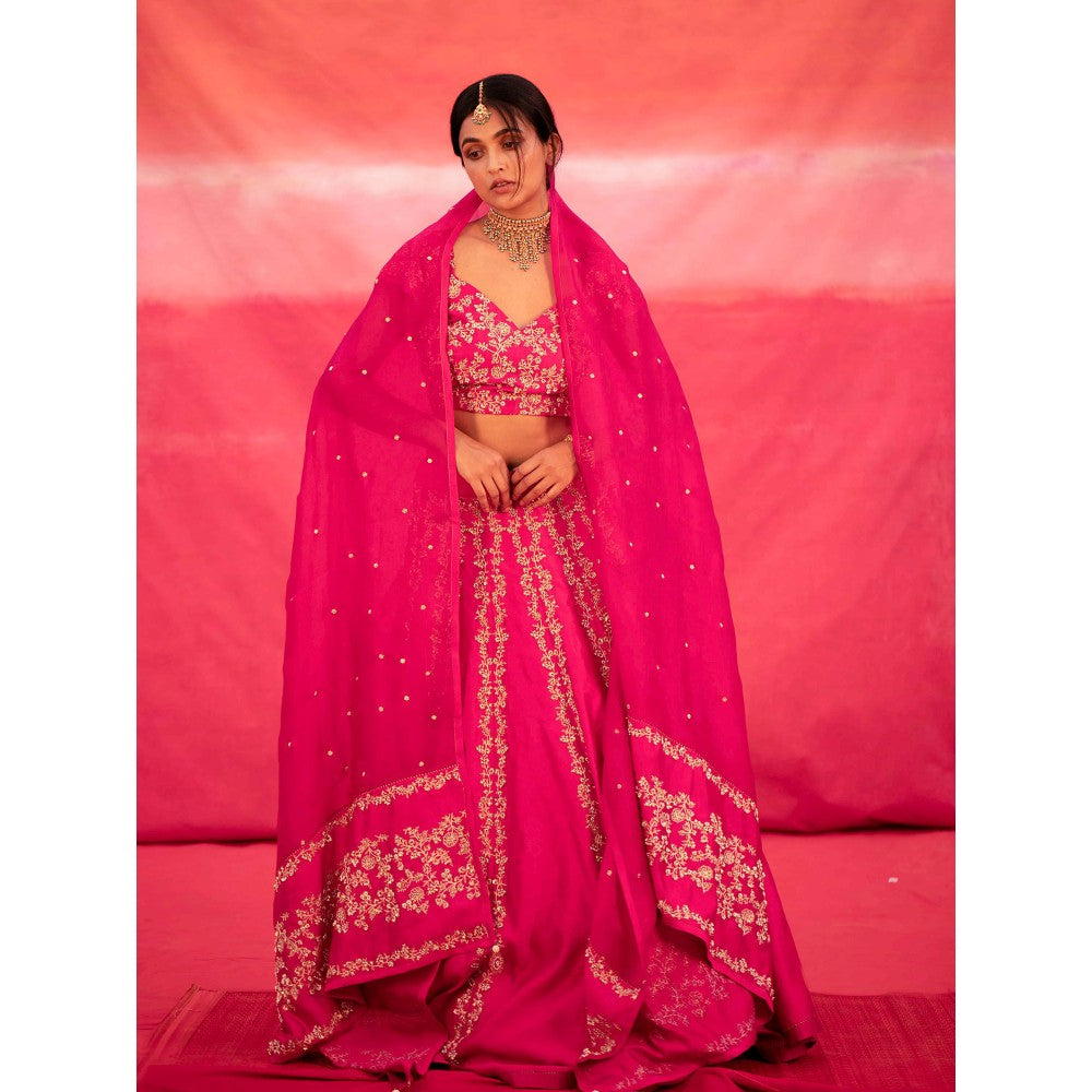 DEEPTHEE Pink Hand Embroidered Kali Lehenga with Blouse & Dupatta (Set of 3)