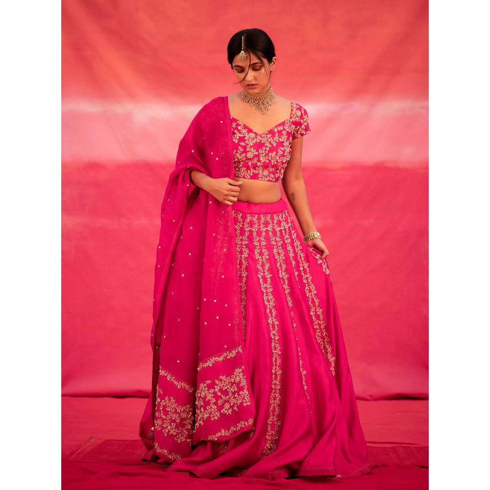DEEPTHEE Pink Hand Embroidered Kali Lehenga with Blouse & Dupatta (Set of 3)