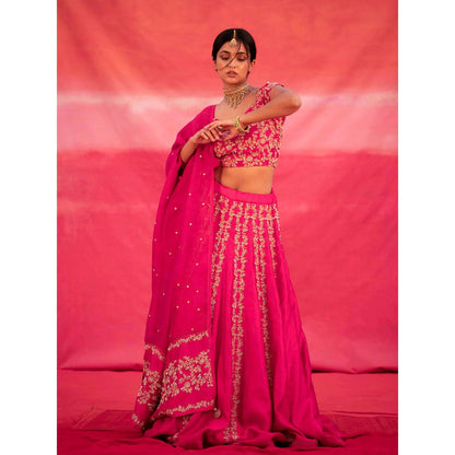 DEEPTHEE Pink Hand Embroidered Kali Lehenga with Blouse & Dupatta (Set of 3)