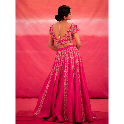 DEEPTHEE Pink Hand Embroidered Kali Lehenga with Blouse & Dupatta (Set of 3)