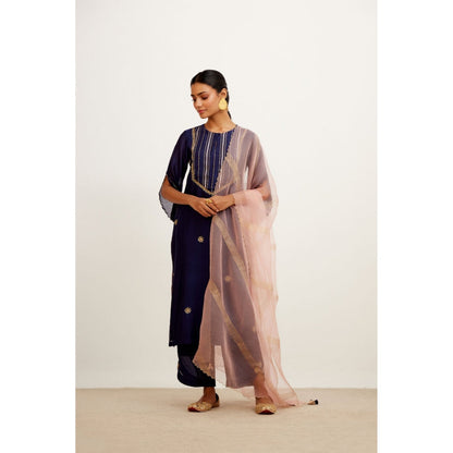 Devnaagri Navy Blue Hand Embroidered Kurta and Palazzo with Dupatta (Set of 3)