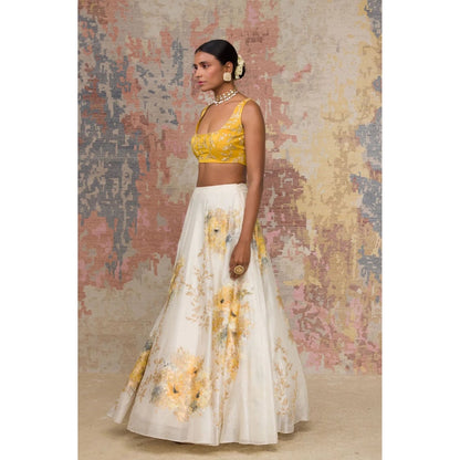 Devnaagri Mustard Chanderi Silk Lehenga and Blouse with Dupatta (Set of 3)