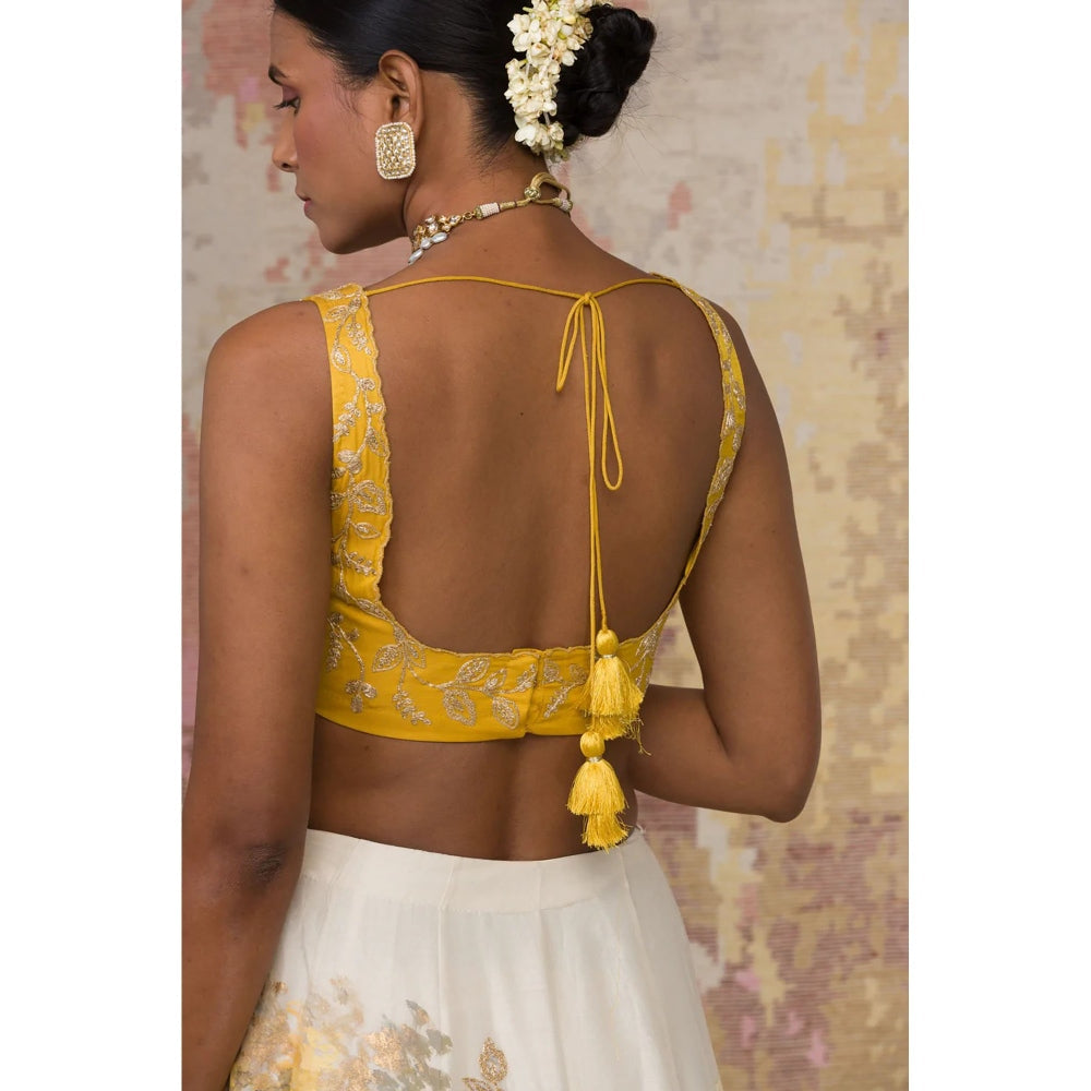 Devnaagri Mustard Chanderi Silk Lehenga and Blouse with Dupatta (Set of 3)