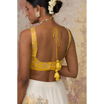 Devnaagri Mustard Chanderi Silk Lehenga and Blouse with Dupatta (Set of 3)