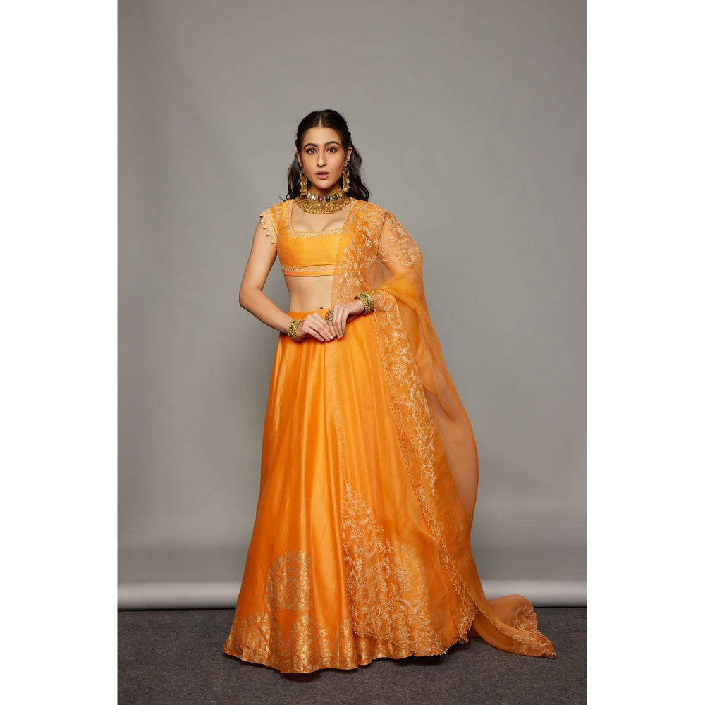 Devnaagri Orange Hand Block Print Lehenga and Blouse with Dupatta (Set of 3)