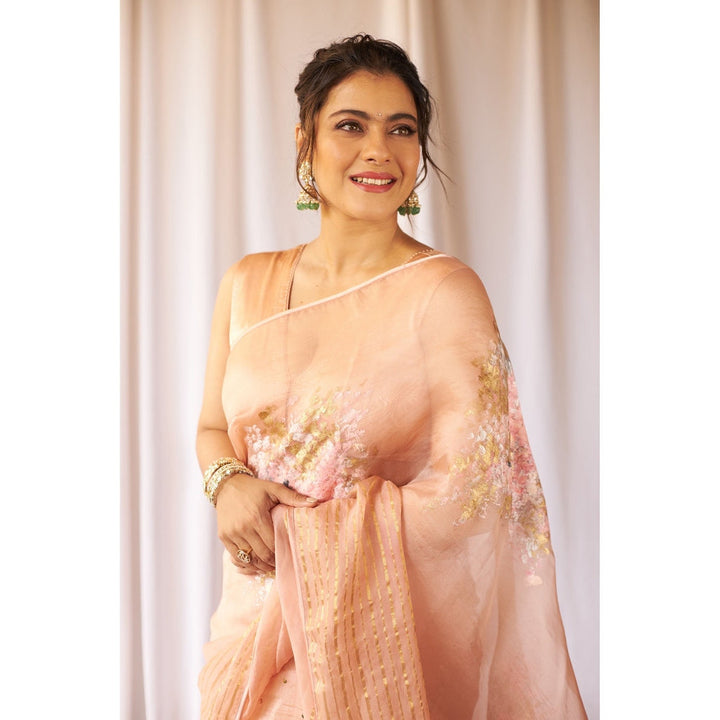 Devnaagri Blush Pink Hand-Painted Organza Saree with Stitched Blouse (Set of 2)