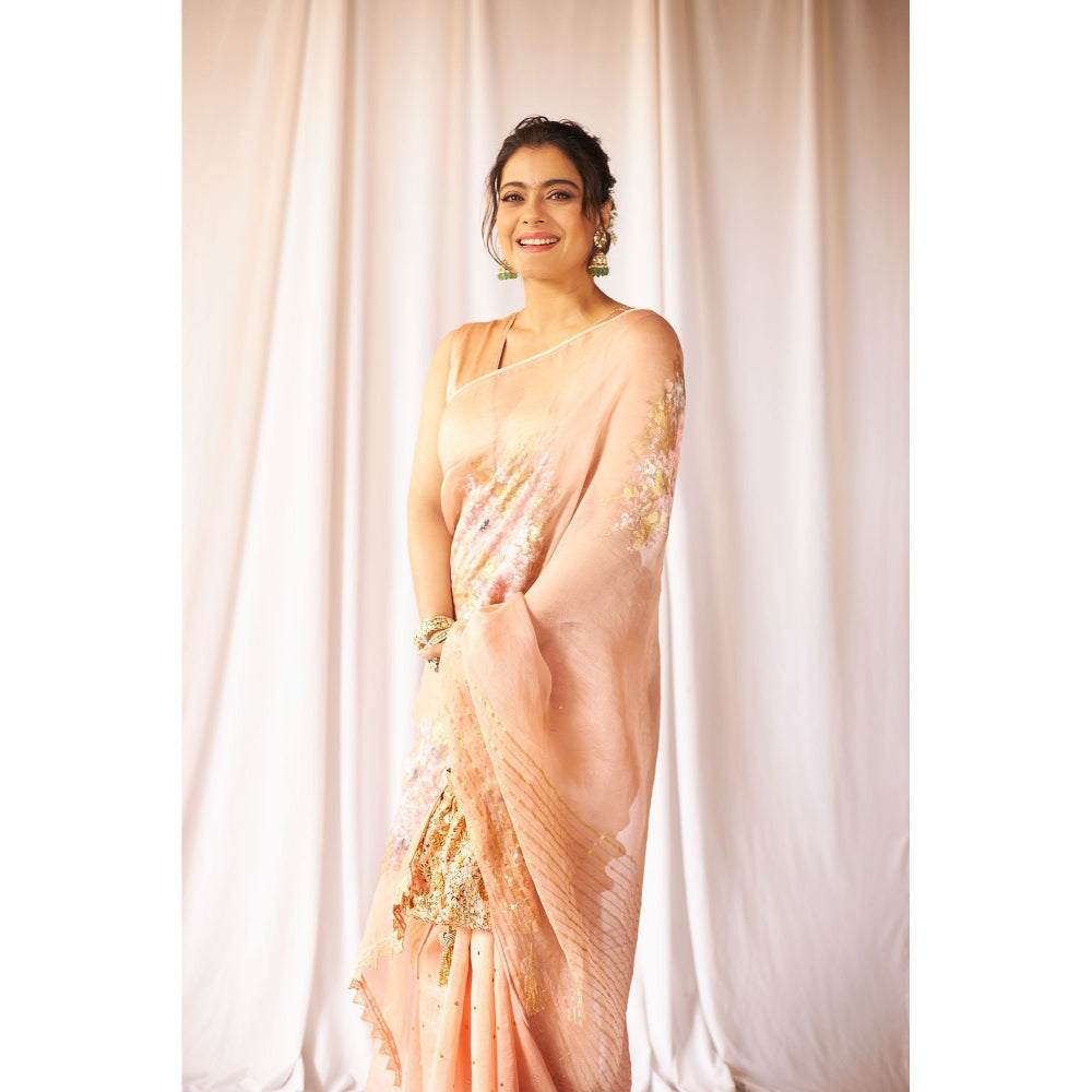 Devnaagri Blush Pink Hand-Painted Organza Saree with Stitched Blouse (Set of 2)