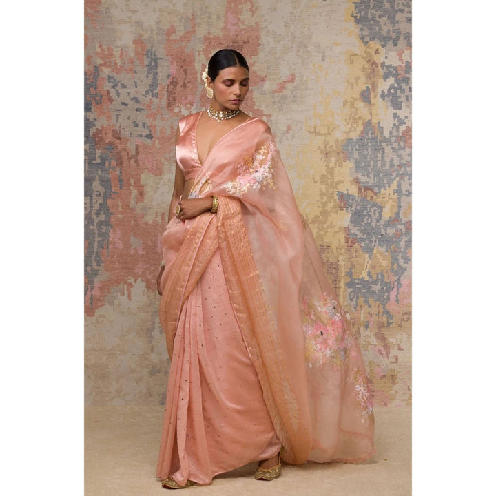 Devnaagri Blush Pink Hand-Painted Organza Saree with Stitched Blouse (Set of 2)