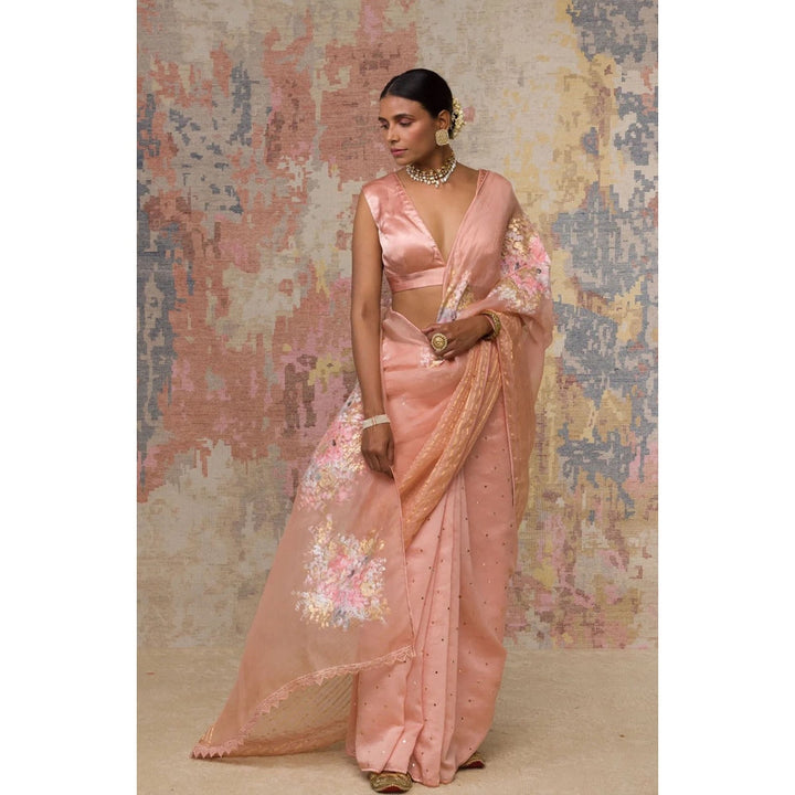 Devnaagri Blush Pink Hand-Painted Organza Saree with Stitched Blouse (Set of 2)