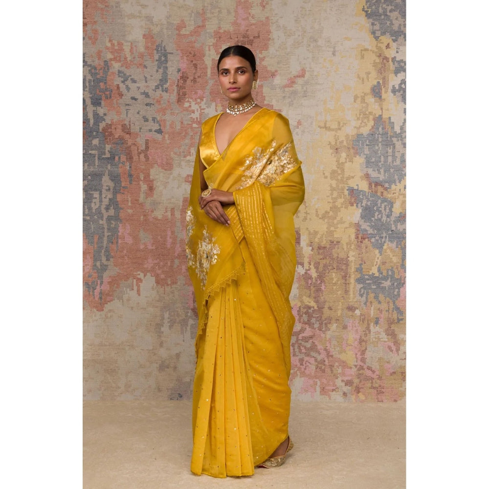 Devnaagri Mustard Hand-Painted Organza Saree with Stitched Blouse (Set of 2)