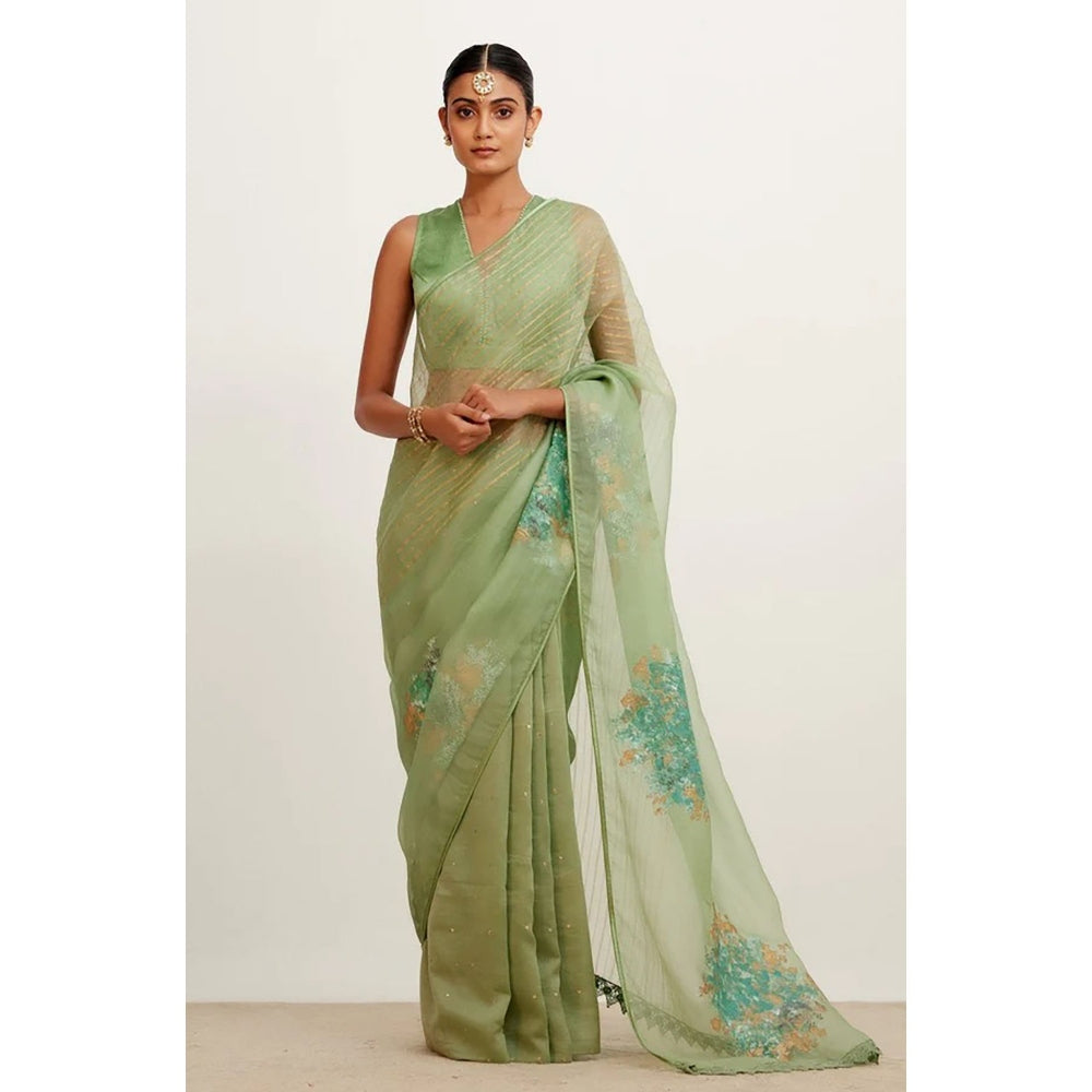 Devnaagri Sage Green Hand-Painted Organza Saree with Stitched Blouse (Set of 2)
