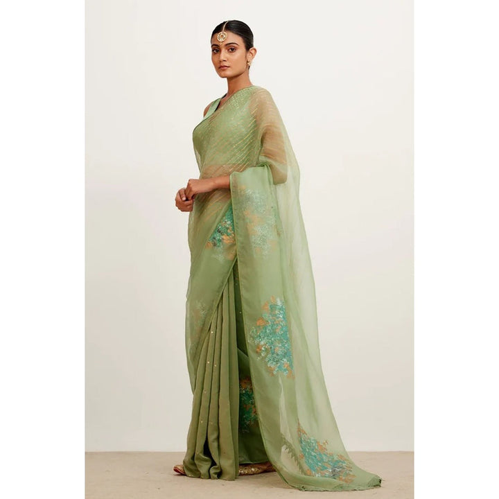 Devnaagri Sage Green Hand-Painted Organza Saree with Stitched Blouse (Set of 2)