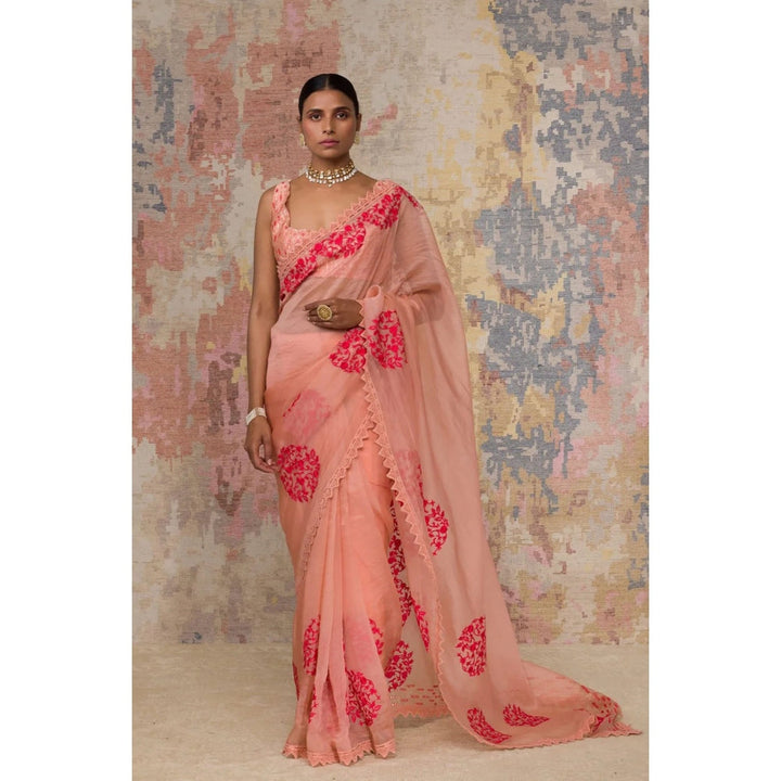 Devnaagri Blush Silk Organza Saree with Stitched Blouse (Set of 2)