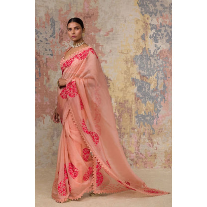Devnaagri Blush Silk Organza Saree with Stitched Blouse (Set of 2)
