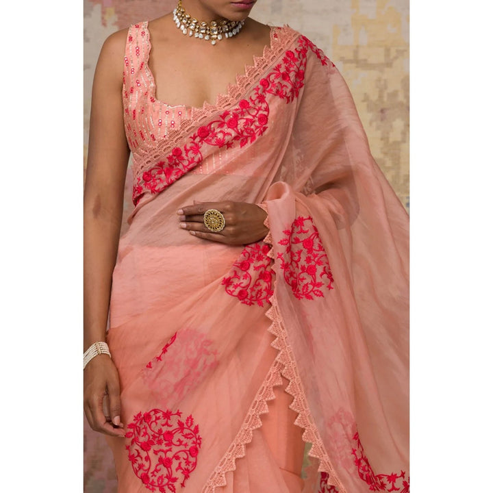Devnaagri Blush Silk Organza Saree with Stitched Blouse (Set of 2)